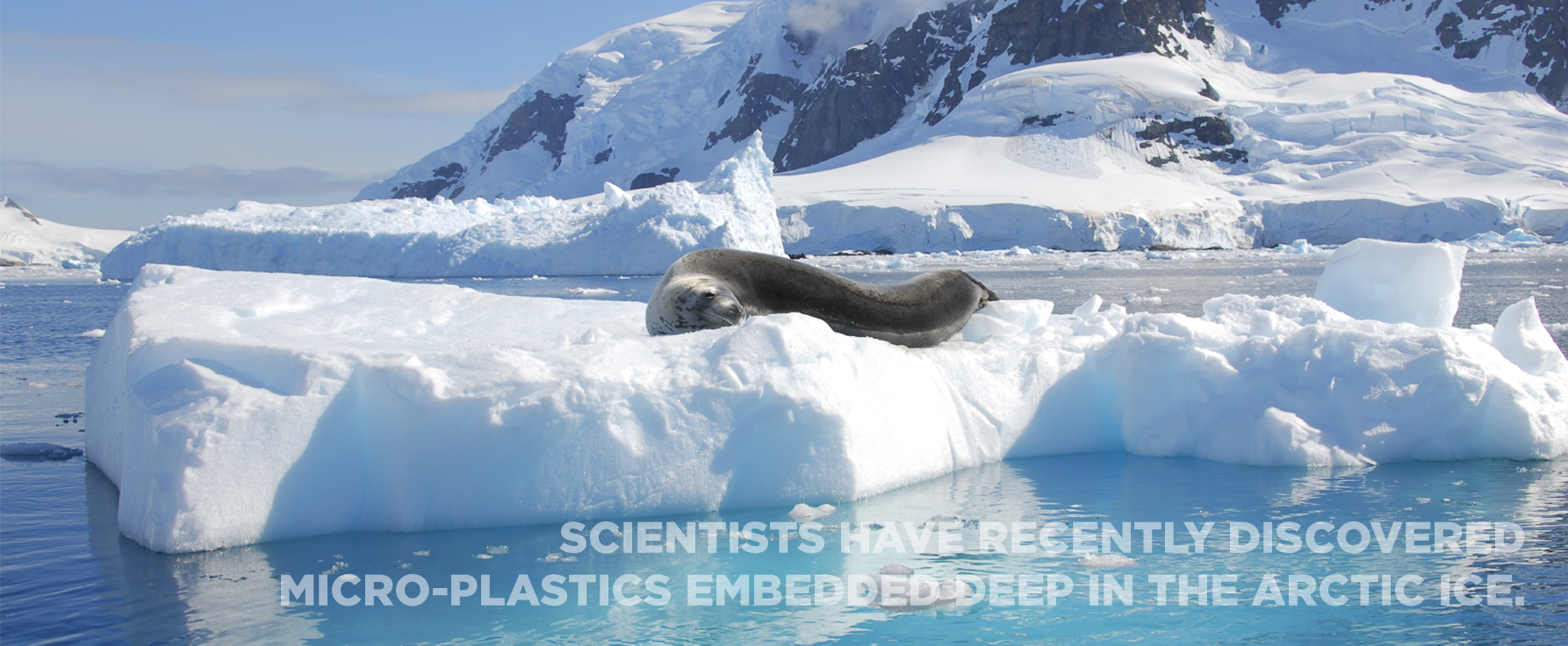 SCIENTISTS HAVE RECENTLY DISCOVERED MICRO-PLASTICS EMBEDDED DEEP IN THE ARCTIC ICE.